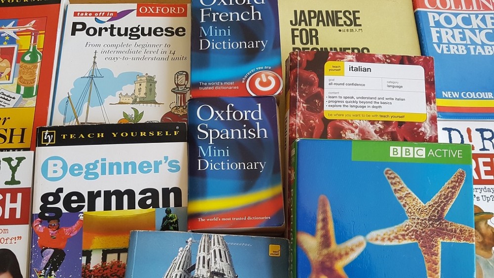 foreign language study books (Pixabay)
